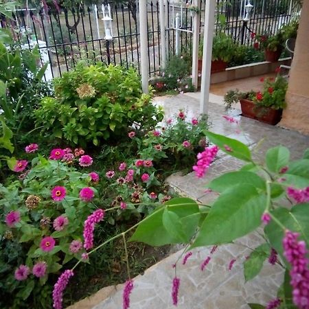 Villa Angela, Traditional Villa In The Village Agios Ioannis Peristeron  Exterior photo