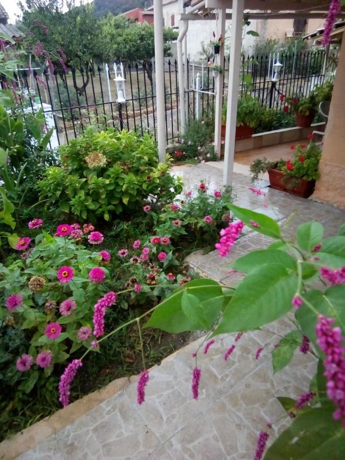 Villa Angela, Traditional Villa In The Village Agios Ioannis Peristeron  Exterior photo